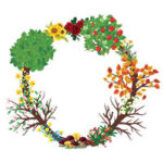 The Circle of Life Celebrant - Logo